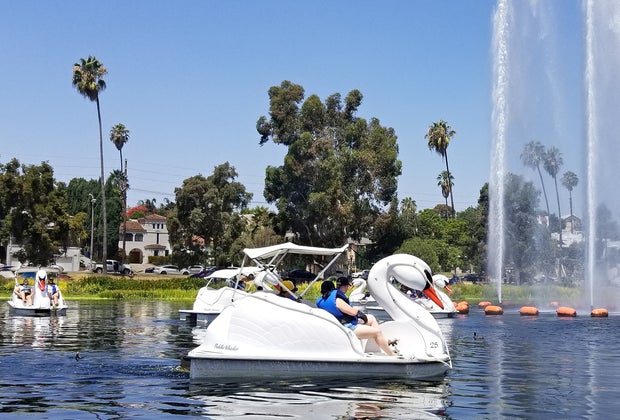 The swan boats at Echo Park Lake are a great workout!