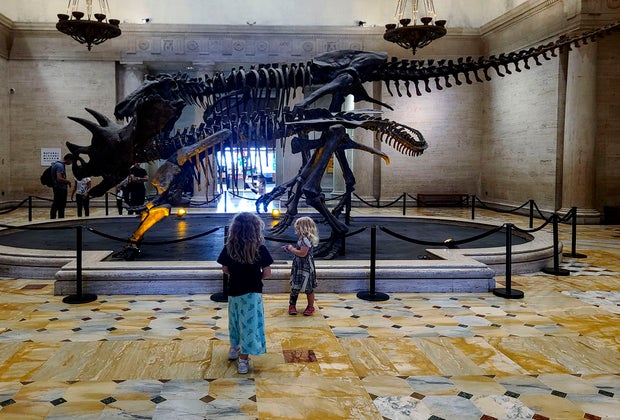 Free Museum Days in Los Angeles: Natural History Museum