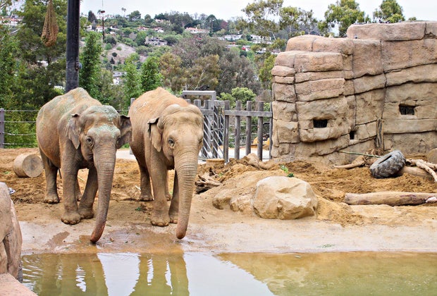 Now open in LA are many of our favorite zoos, like the Santa Barbara Zoo