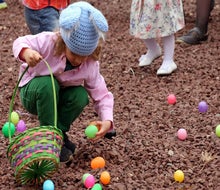Grab a basket and head to the Easter Egg Hunt at Elmwood Zoo. Photo courtesy of the zoo