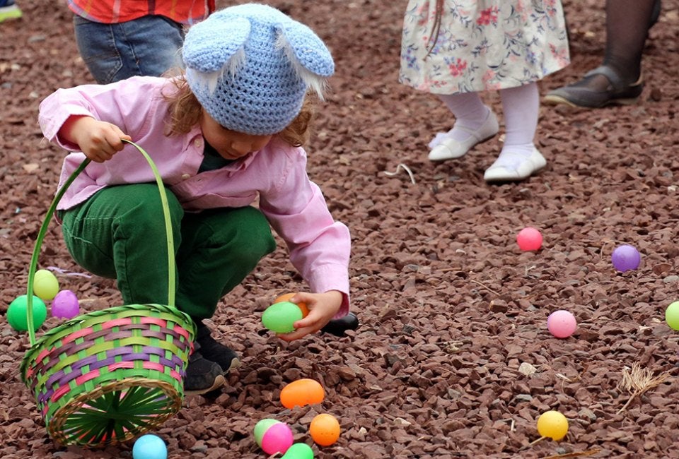 Grab a basket and head to the Easter Egg Hunt at Elmwood Zoo. Photo courtesy of the zoo