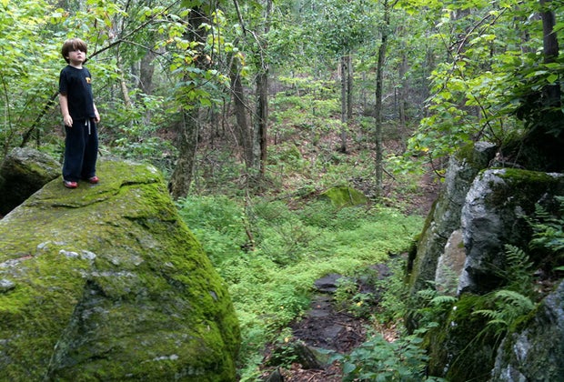 Earth Kids is all able getting our children excited about environmentalism.