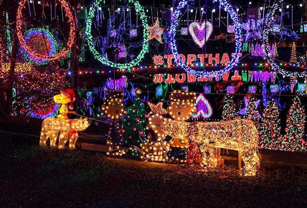 Charlie Brown and his crew are part of the world-record ERDAJT holiday lights display