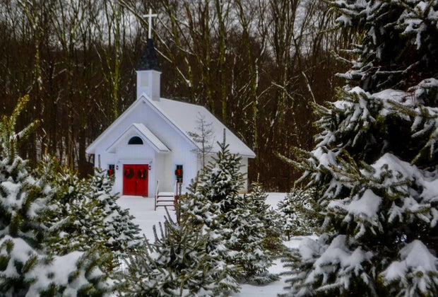 Image of one of the cut-your-own Christmas Tree Farms in Connecticut