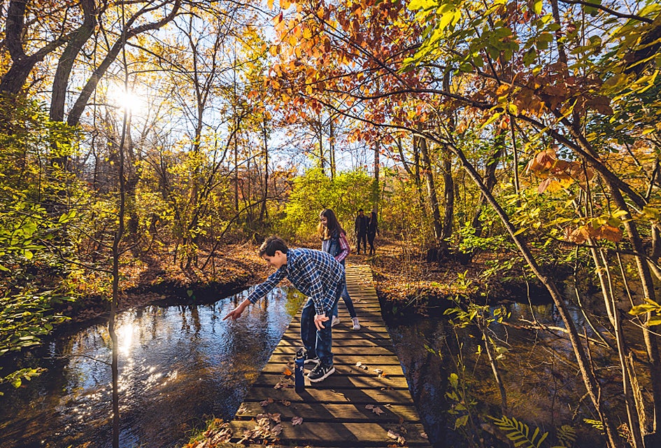 Enjoy the beauty of the season with a fall foliage walk on one of Long Island's beautiful trails. Photo courtesy of Discover Long Island