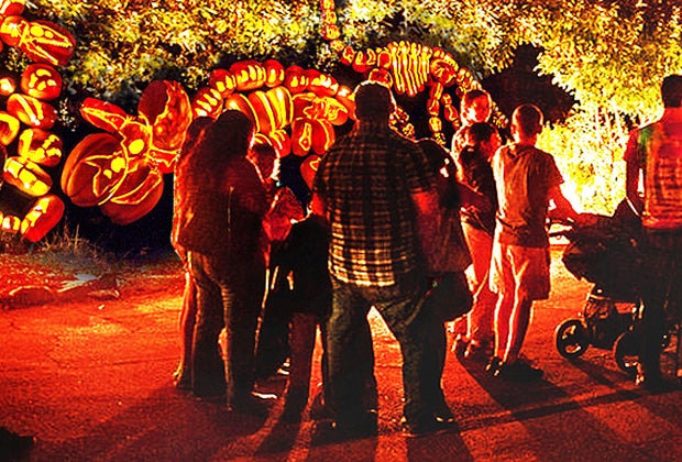 Fall day trips from Long Island Rise of the Jack O'Lanterns