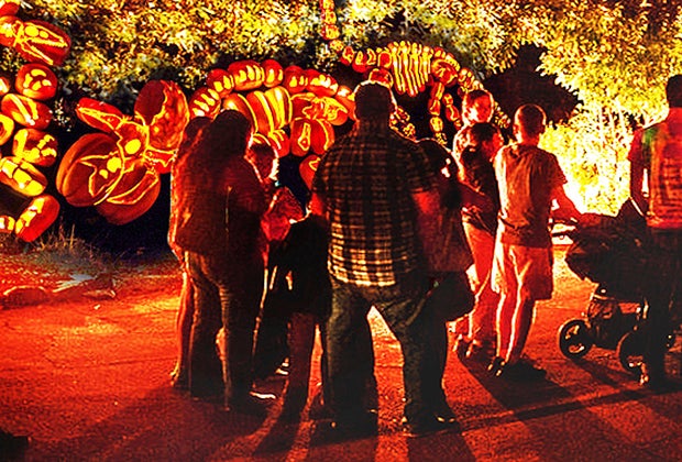 Fall day trips from Long Island Rise of the Jack O'Lanterns