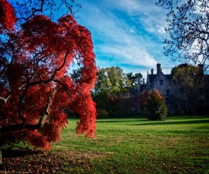 Fall Membership Appreciation Day & Open House at Planting Fields. Photo courtesy of Planting Fields