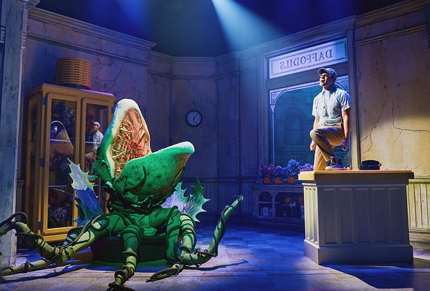 See Jeremy Jordan back on Broadway in Little Shop of Horrors