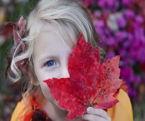 Playing in fall foliage is one of the most beautiful and fun things to do with kids in Boston in the autumn