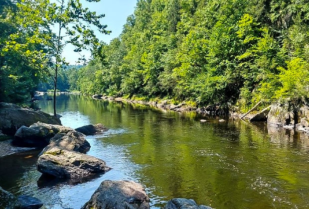 Image of Farmington River - Farmington River Tubing