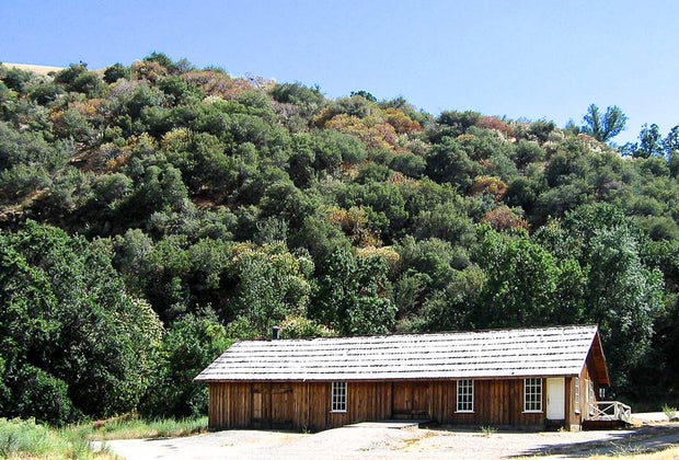 Explore Fort Tijon: The Quartermaster Building