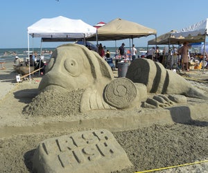 Watch the professionals turn the beach into an art gallery at the annual AIA Sand Castle Competition. Photo courtesy of Galveston Island Convention & Visitors Bureau.