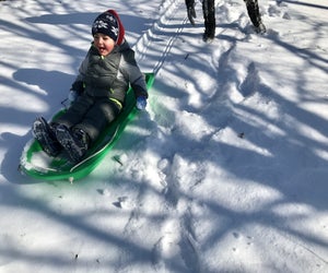 Westchester has sledding hills for everyone from tots to teens. Photo by Marisa Iallonardo