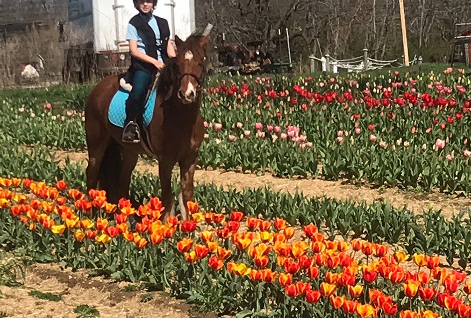 Wander through the brightly colored blooms at Garden of Eve's TulipFest. Photo courtesy of Garden  of Eve