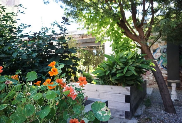 Manuela is a restaurant in Los Angeles where kids can play while parents eat