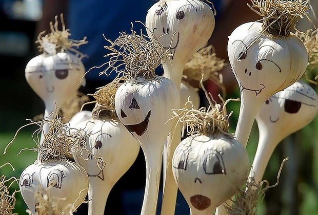 Hudson Valley Garlic Festival