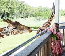 There are more than just lions at Lion Country Safari.