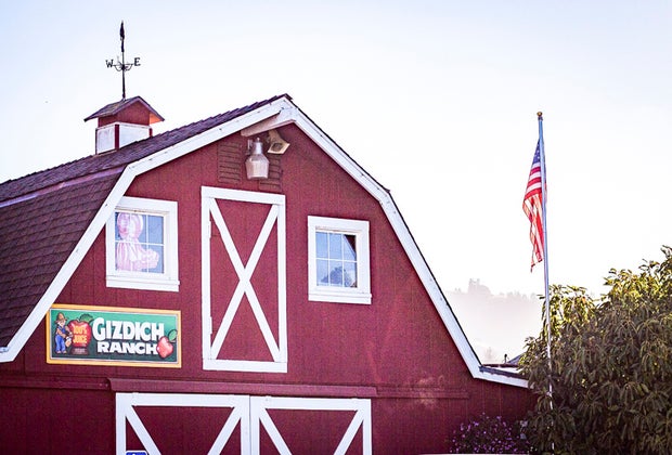 Apple Picking Near San Francisco: Gizdich Ranch's Big Red Barn