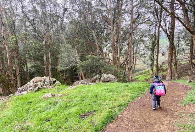 Hikes in San Francisco: Glen Canyon