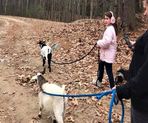 Take a hike....with a goat! Photo courtesy of Goats to Go