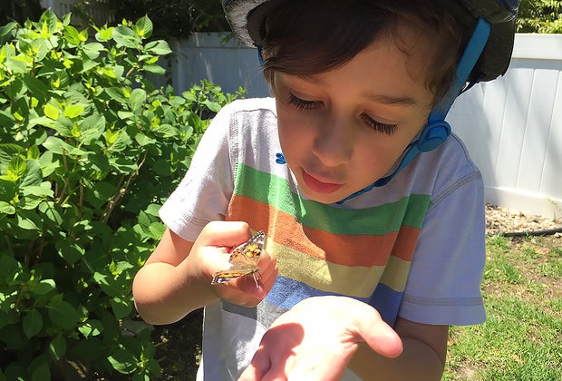 Parks and playgrounds for a birthday party on Long Island Sunken Meadow State Park