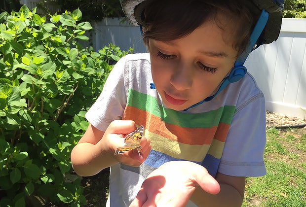 Parks and playgrounds for a birthday party on Long Island Sunken Meadow State Park