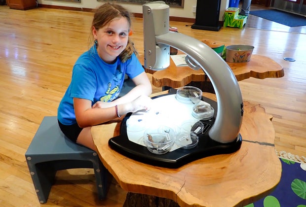 Grassy Waters wetlands park in West Palm Beach