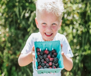 Blackberries and raspberries are ready for picking in the summer months. Photo courtesy of Great Country Farms