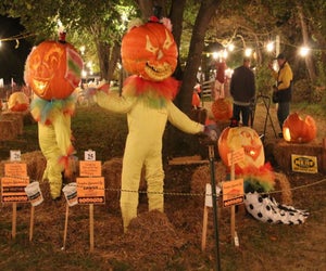 Photo courtesy of The Great Pumpkin Carve