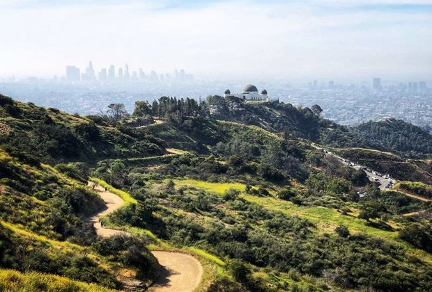 Hiking in Griffith Park gives viasta from downtown to the sea.