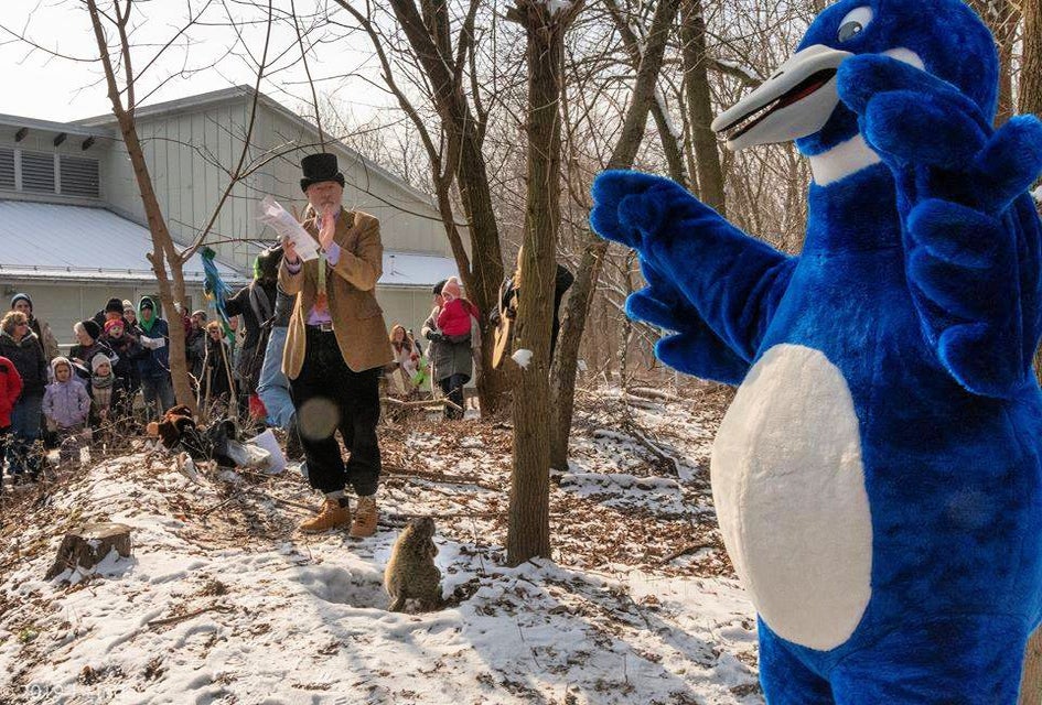 Celebrate Groundhog Day at the John Heinz National Wildlife Refuge. Photo courtesy of the refuge