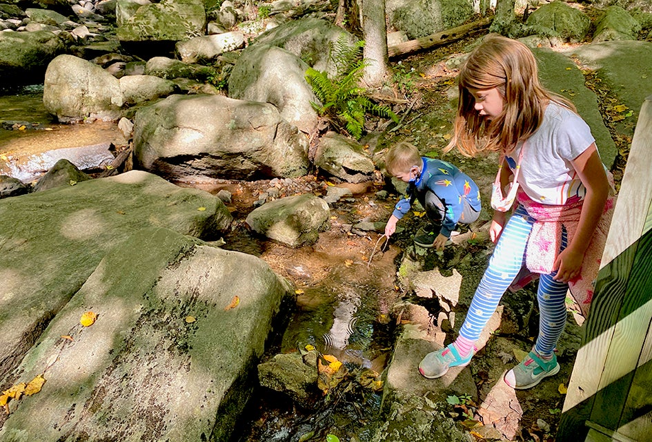 This spring break, take a hike by the soaring hemlock trees in Hacklebarney State Park. Photo by Rose Gordon Sala
