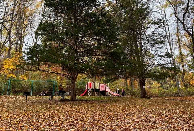 A modest playground in Hacklebarney State Park