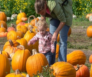 Enjoy full days of fall fun. Photo courtesy of the Half Moon Bay Annual Pumpkin and Art Festival 