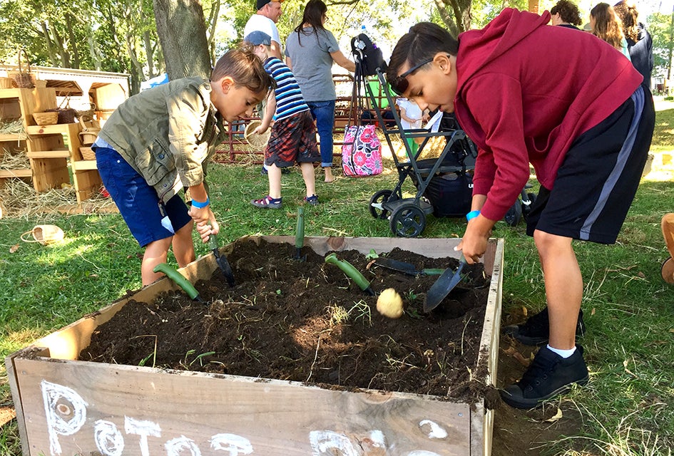 Hallockville Museum Farm hosts the largest fiber gathering on the Island. Photo by Jaime Sumersille