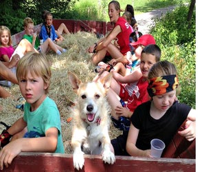 Halloween Hayrides can be sweet, not spooky—just ask this furry friend! Photo courtesy of Flamig Farm