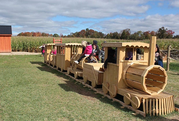 Pumpkin patches near New Jersey Happy Day Farm