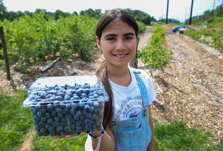 Pick blueberries to your heart's content at Happy Day Farm in Manalapan.