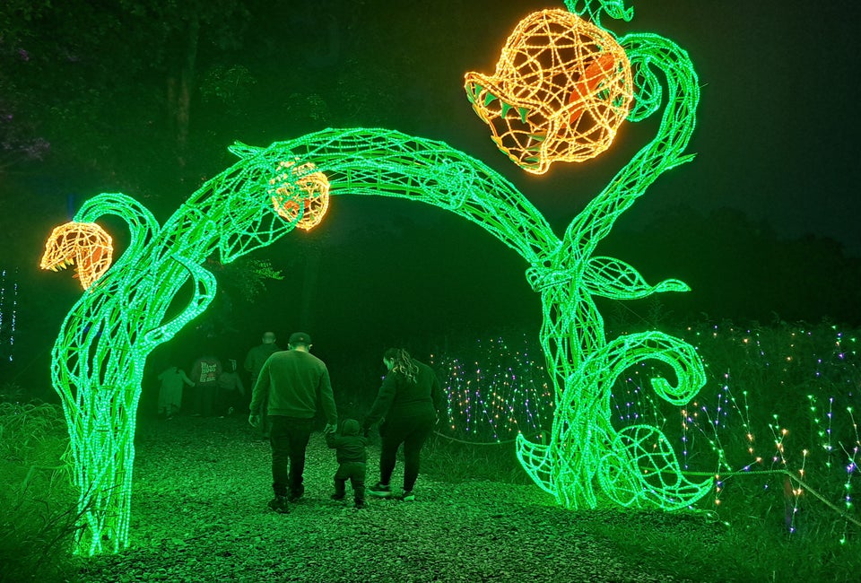 Mystic Moon has beautifully lit trails and whimsical forest characters. Photo by the author