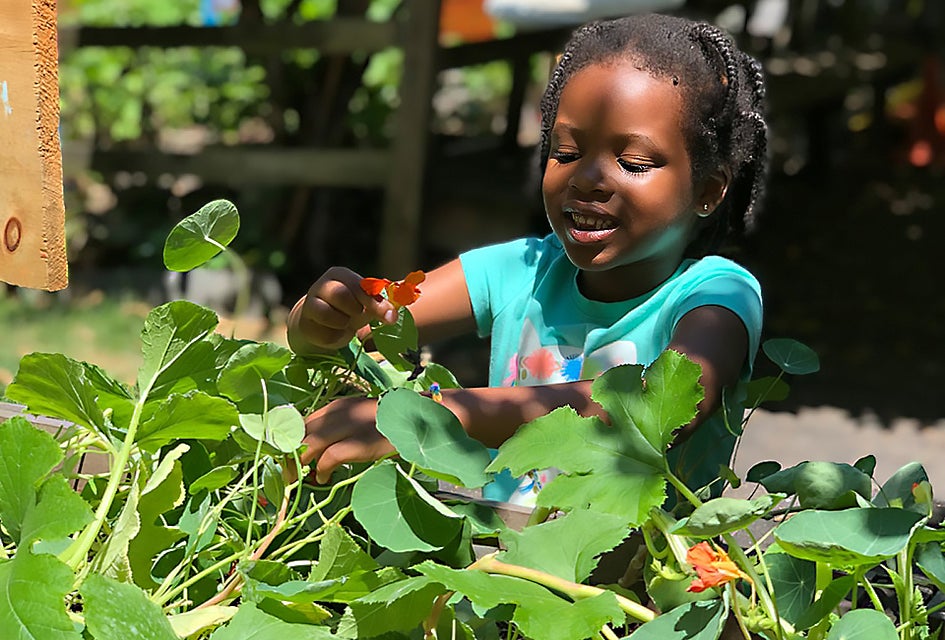Harlem Grown. Photo courtesy of the farm