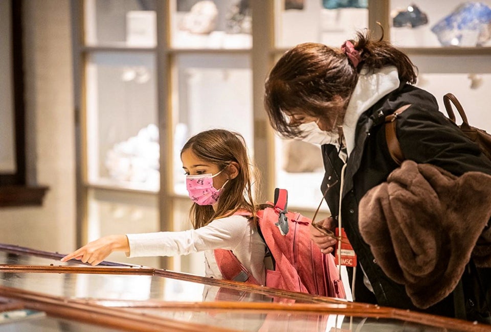 Photo courtesy of the Harvard Museum of Science and Culture