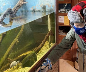 Head to the Cold Spring Fish Hatchery for an egg hunt and stick around to visit the resident amphibians. Photo by the author