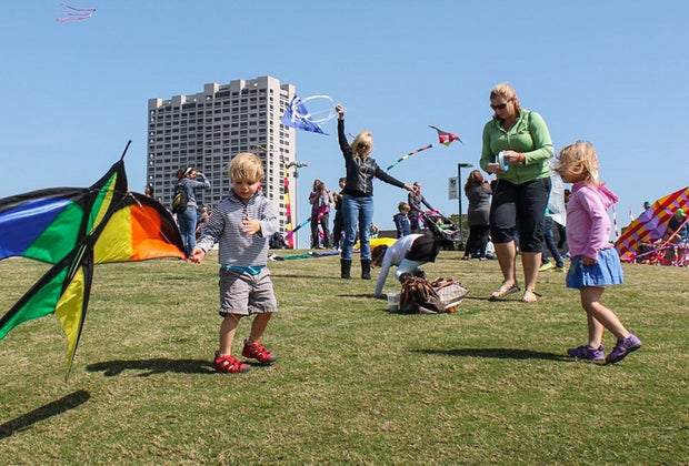 Top 100 things to do in Houston: Mermann Park Kite Festival