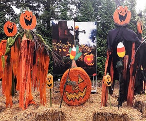 Head to the Fall Festival at Hicks Nursery for some not-too-scary seasonal entertainment. Photo courtesy of the nursery
