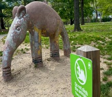 Come nose-to-nose with the adorable aardvark at the Home for Retired Playground Animals in Queens.