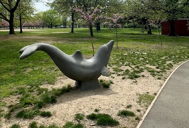 Home for retired playground animals: Dolphin