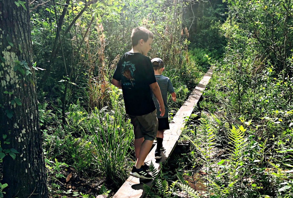 Challenge yourself on the walking beams at Hidden Waters Preserve.