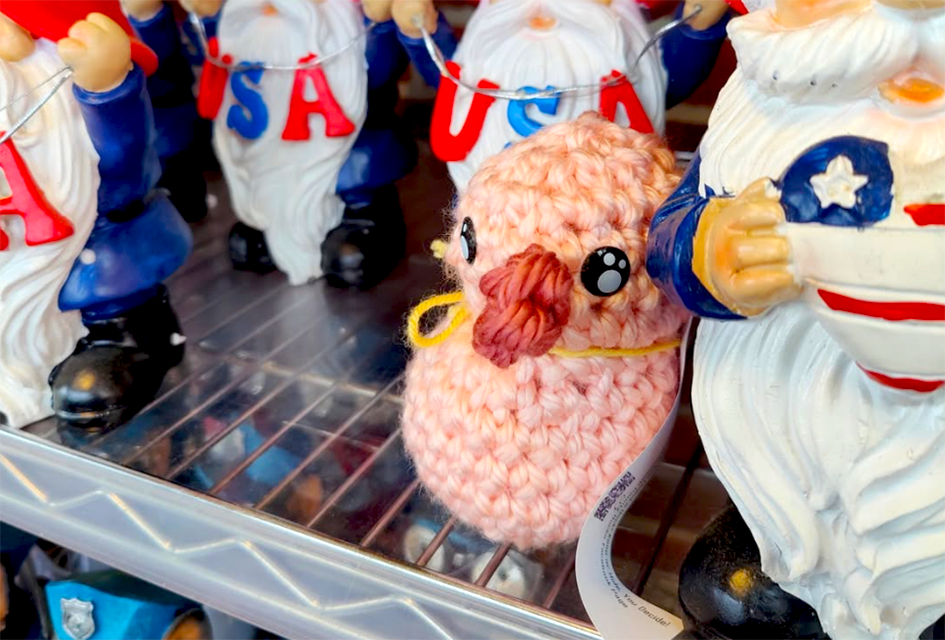 Keep your eyes peeled for ducks of all shapes and sizes in Monmouth County, NJ. 