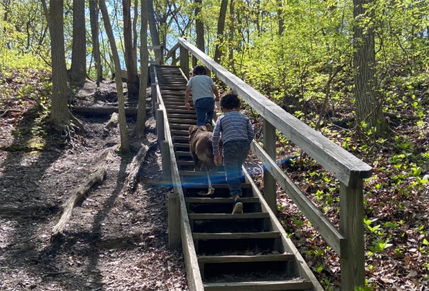 kids hiking in the woods